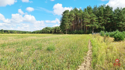 Działka budowlana 1047 m2 Wólka Poduchowna - Wólka Poduchowna  - Podlaskie