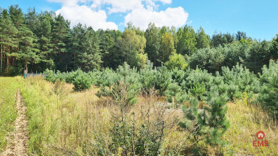 Działka budowlana 1047 m2 Wólka Poduchowna - Wólka Poduchowna  -
Podlaskie Zdjęcie nr 3