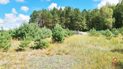 Działka budowlana 1047 m2 Wólka Poduchowna - Wólka Poduchowna  -
Podlaskie Zdjęcie nr 4