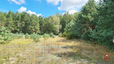 Działka budowlana 1047 m2 Wólka Poduchowna - Wólka Poduchowna  -
Podlaskie Zdjęcie nr 5