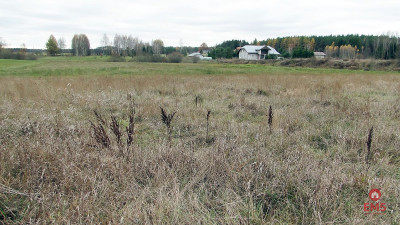 Działka rolno-budowlana 115 ha Królowy Most - Królowy Most  -
Podlaskie Zdjęcie nr 4