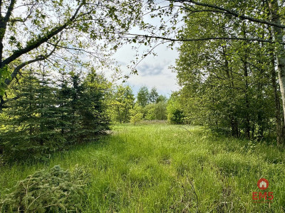 Działka w  Kosmatym Borku - Kosmaty Borek  -
Podlaskie Zdjęcie nr 2
