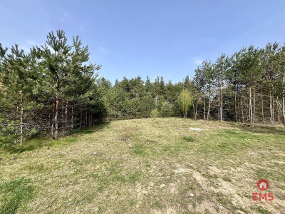 Działka budowlana w Karakulach - Karakule  -
Podlaskie Zdjęcie nr 7