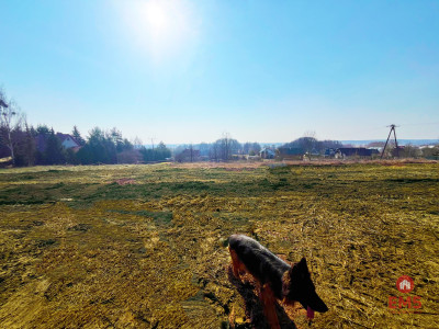 Królewskie Wzgórza 3 km od Białegostoku - Ogrodniki  -
Podlaskie Zdjęcie nr 3