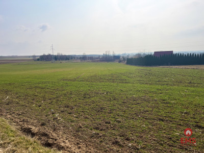 Królewskie Wzgórza 3 km od Białegostoku - Ogrodniki  -
Podlaskie Zdjęcie nr 5