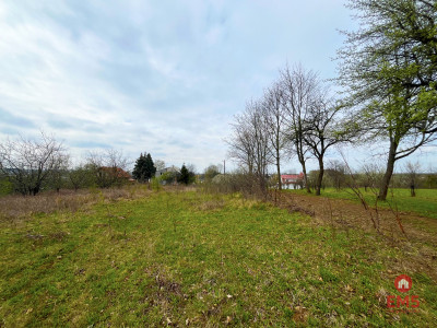 Królewskie Wzgórza 3 km od Białegostoku - Ogrodniki  -
Podlaskie Zdjęcie nr 6