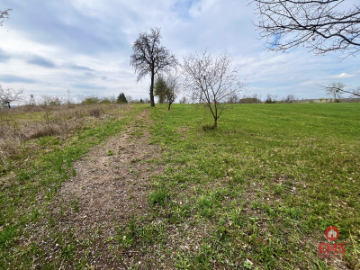 Królewskie Wzgórza 3 km od Białegostoku - Ogrodniki  -
Podlaskie Zdjęcie nr 9