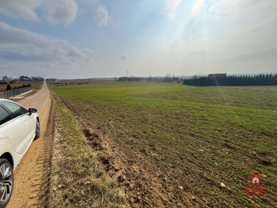 Królewskie Wzgórza 3 km od Białegostoku - Ogrodniki  -
Podlaskie Zdjęcie nr 3