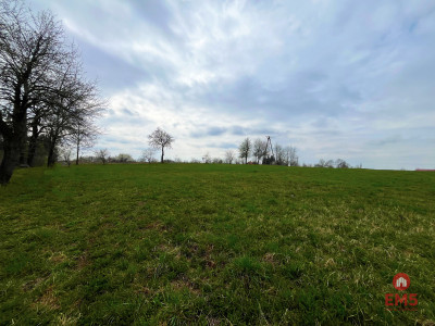 Królewskie Wzgórza 3 km od Białegostoku - Ogrodniki  -
Podlaskie Zdjęcie nr 6