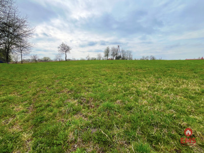 Królewskie Wzgórza 3 km od Białegostoku - Ogrodniki  -
Podlaskie Zdjęcie nr 8