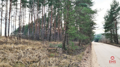 Działka 8500 m2 Jurowce - Jurowce  -
Podlaskie Zdjęcie nr 3