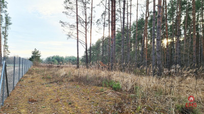 Działka 8500 m2 Jurowce - Jurowce  -
Podlaskie Zdjęcie nr 4