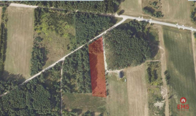 Działka 8500 m2 Jurowce - Jurowce  -
Podlaskie Zdjęcie nr 8