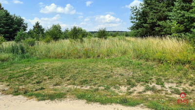 Działka rolno-budowlana 5528 m2 - Jurowce  -
Podlaskie Zdjęcie nr 6