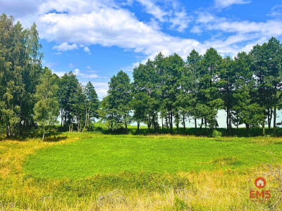 Działka budowlana - pierwsza linia w strefie ciszy - Dąbrówno  -
Warmińsko-Mazurskie Zdjęcie nr 4