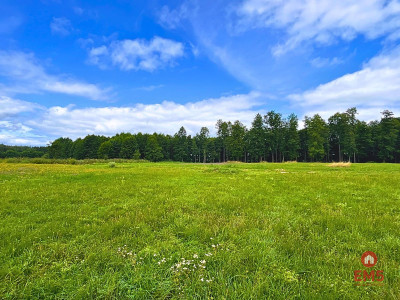 Działka budowlana na Szlaku WJM - jezioro Harsz - Harsz  -
Warmińsko-Mazurskie Zdjęcie nr 4