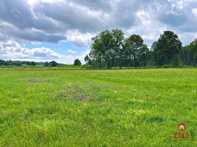 Pierwsza linia j Harsz - działka budowlana - Harsz  -
Warmińsko-Mazurskie Zdjęcie nr 4