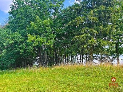 Działka budowlana z dostępem do jeziora - Dąbrówno  -
Warmińsko-Mazurskie Zdjęcie nr 2