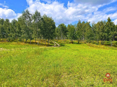 Działka budowlana z dostępem do jeziora - Dąbrówno  -
Warmińsko-Mazurskie Zdjęcie nr 6