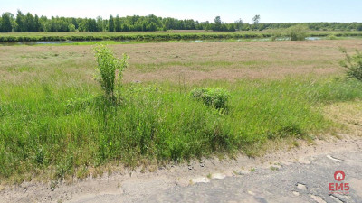 Działka rekreacyjna nad Narwią - Krzewo  -
Podlaskie Zdjęcie nr 3