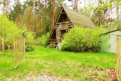 Działka rekreacyjno-budowlana 08 ha pod miastem - Rafałówka  -
Podlaskie Zdjęcie nr 3