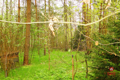 Działka rekreacyjno-budowlana 08 ha pod miastem - Rafałówka  -
Podlaskie Zdjęcie nr 4