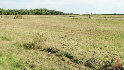 Działka budowlana 1500 m2 gm Juchnowiec - Hołówki Duże  -
Podlaskie Zdjęcie nr 3