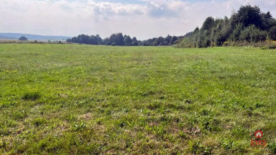 Działka rolno-budowlana 2533 m2 Studzianki - Studzianki  - Podlaskie