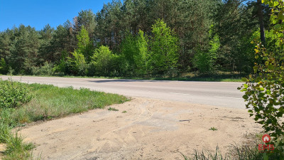 Działka przemysłowa 04 ha pod Wasilkowem - Wasilków  -
Podlaskie Zdjęcie nr 8