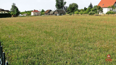 Działka rolno-budowlana 4000 m2 Letniki - Letniki  -
Podlaskie Zdjęcie nr 3