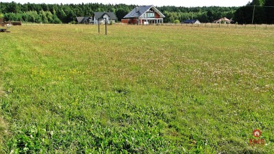 Działka rolno-budowlana 4000 m2 Letniki - Letniki  -
Podlaskie Zdjęcie nr 6