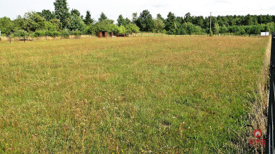 Działka rolno-budowlana 4000 m2 Letniki - Letniki  -
Podlaskie Zdjęcie nr 7