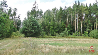 Budowlano - rolna 104 ha Pod miastem - Zalesiany  -
Podlaskie Zdjęcie nr 2