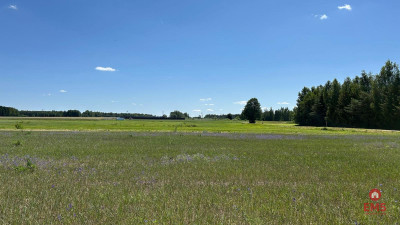 Działka rolno-budowlana 25 ha Nowosiółki - Nowosiółki  -
Podlaskie Zdjęcie nr 2