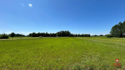 Działka rolno-budowlana 25 ha Nowosiółki - Nowosiółki  -
Podlaskie Zdjęcie nr 3