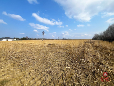 Tereny inwestycyjne w Nowym Aleksandrowie - Nowe Aleksandrowo  -
Podlaskie Zdjęcie nr 3