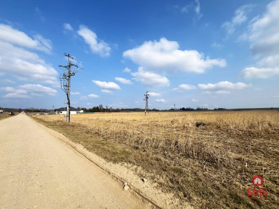 Tereny inwestycyjne w Nowym Aleksandrowie - Nowe Aleksandrowo  -
Podlaskie Zdjęcie nr 6