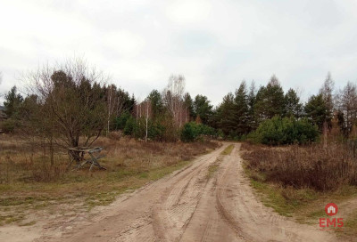 działka pod lasem blisko Białegostoku ze stawem - Ogrodniczki  -
Podlaskie Zdjęcie nr 4