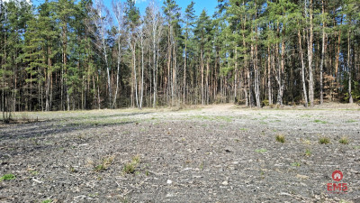 Działka budowlana pod lasem 1085 m2 - Solniczki  -
Podlaskie Zdjęcie nr 3