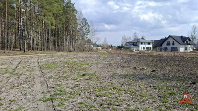 Działka blisko lasu w Solniczkach 1109 m2 - Solniczki  -
Podlaskie Zdjęcie nr 3