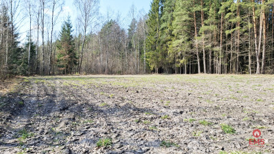 Działka blisko lasu w Solniczkach 1109 m2 - Solniczki  -
Podlaskie Zdjęcie nr 9