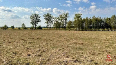 Działka budowlana 1000 m2 Rafałówka - Rafałówka  -
Podlaskie Zdjęcie nr 8
