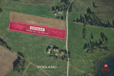 Działka rolno-budowlana Podlaski Gmina Sejny - Podlaski  -
Podlaskie Zdjęcie nr 4