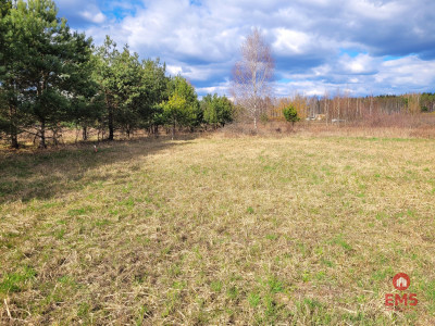 Oaza spokoju w Sowlanach - Sowlany  - Podlaskie