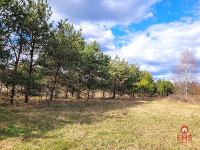 Oaza spokoju w Sowlanach - Sowlany  -
Podlaskie Zdjęcie nr 3