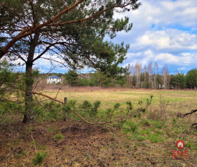 Oaza spokoju w Sowlanach - Sowlany  -
Podlaskie Zdjęcie nr 6