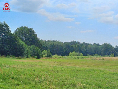 działka w pobliżu lasu - Białystok  -
podlaskie Zdjęcie nr 4