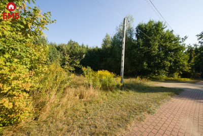 Duża działka z potencjałemKsiężyno 18500m2 - Księżyno   -
PODLASKIE Zdjęcie nr 2