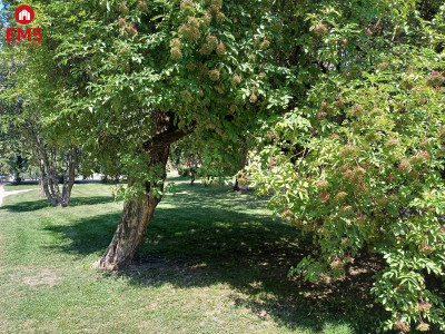 działka przy granicy Białegostoku - Nowodworce  -
PODLASKIE Zdjęcie nr 2