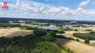 Wyjątkowa działka otoczona lasem  - Jeziorki  -
PODLASKIE Zdjęcie nr 2